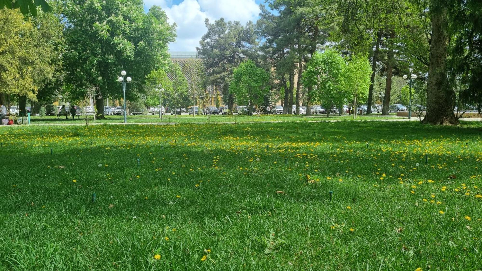 Boulevard Apartment Samarkanda Zewnętrze zdjęcie